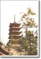 Miyajima (Five-Storeyed Pagoda)