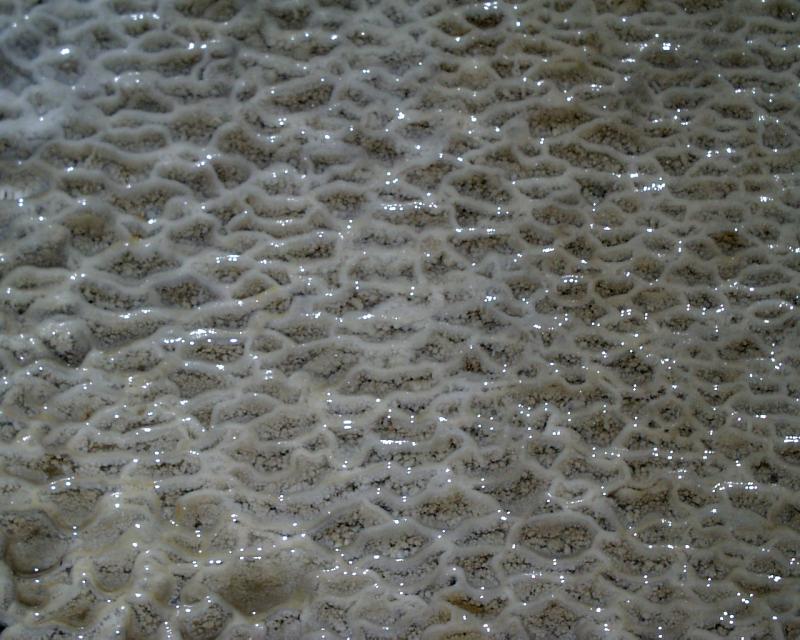 photo_trip_13.jpg