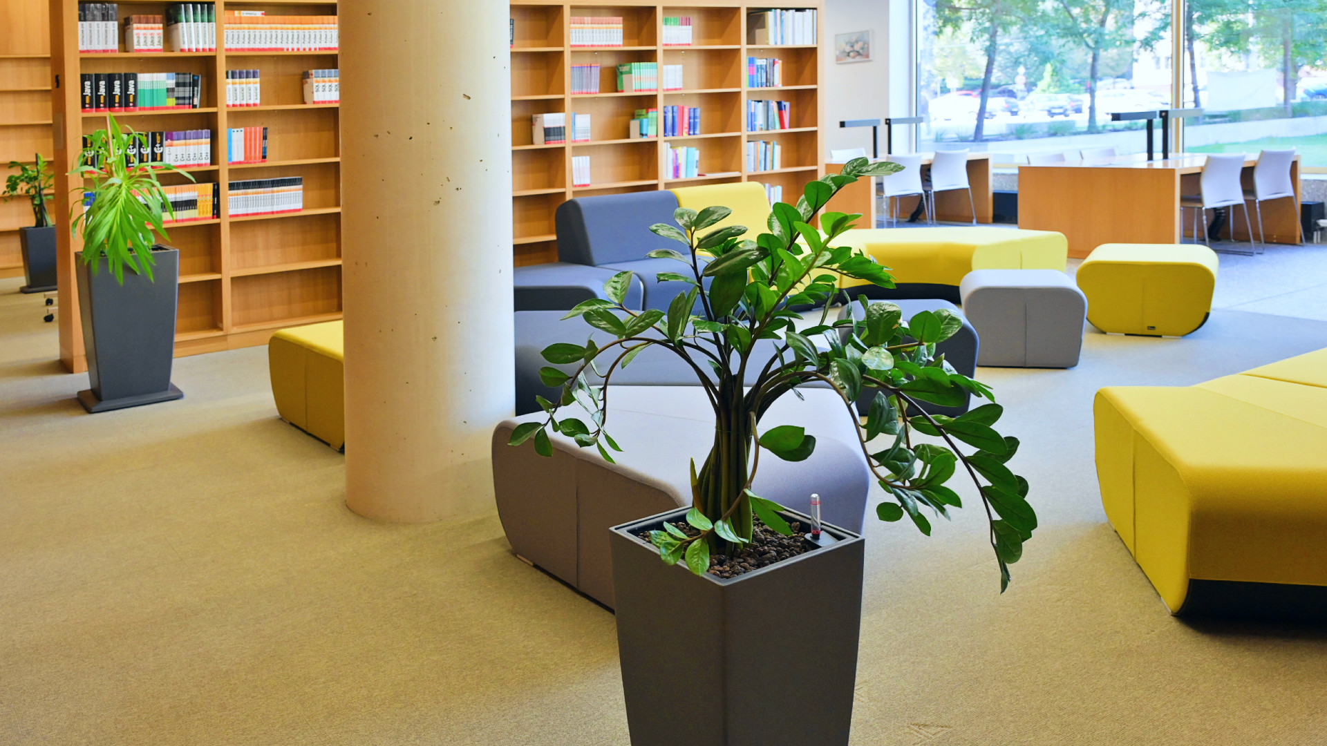 Studentské prostory na FI – exkurze po fakultě