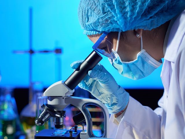 Monitoring Report on the Status of Women in Science