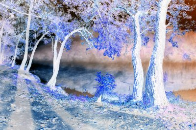 _images/bitmapova_grafika_invert_colors.png