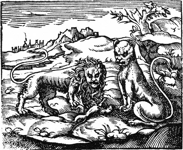 Sancti Epiphanii ad physiologum, woodcut 1577, lion – second property