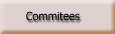Program and Organizing Commitees