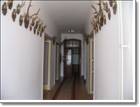 Chudenice