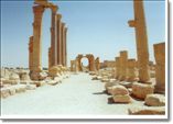 Palmyra