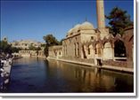 Urfa