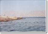 Red Sea (Eilat)