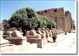 Luxor