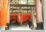 Kyoto (Fushimi-Inari-Taisha Shrine)