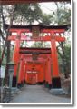 Kyoto (Fushimi-Inari-Taisha Shrine)