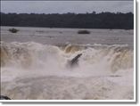 Iguassu Falls (Argentina)