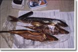 Omul (the baikal fish), Sludianka, Moscow -> Vladivostok