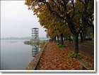 Lago di Varese, Gavirate