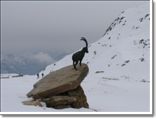 Alagna Valsesia, Passo Salati